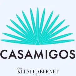 Casamigos Song Lyrics