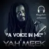 A Voice In Me (feat. Yah Meek) - Single album lyrics, reviews, download