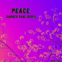 Peace (Samdev Paul Remix) - Single by Viral Viraj album reviews, ratings, credits