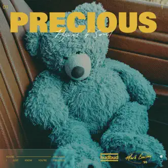 Precious - Single by Mark Barlow album download