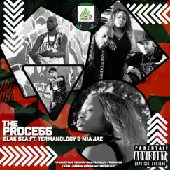 The Process (feat. Termanology & Mia Jae) - Single by Blak Sea album reviews, ratings, credits