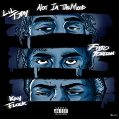 Not in the Mood - Single by Lil Tjay, Fivio Foreign & Kay Flock album reviews, ratings, credits