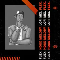 Hood Melody Lofi mix - Single by Flex & The Remix Station album reviews, ratings, credits