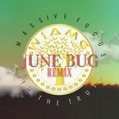 June Bug (feat. Tim the Truth) [Remix] Song Lyrics