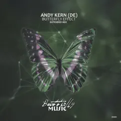 Butterfly Effect (Extended Mix) Song Lyrics