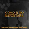 Como Si No Importara (feat. Koatz DJ & Seba Roibal) - Single album lyrics, reviews, download