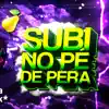 Beat Subi No Pé De Pera - (Funk Remix) [feat. DJ TSK] song lyrics