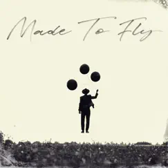 Made to Fly Song Lyrics