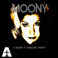 I Don't Know Why (phunk investigation remix) Song Lyrics