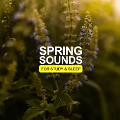 Spring Sounds For Study & Sleep Song Lyrics