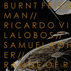 Range of Regularity Remixes by Samuel Rohrer, Ricardo Villalobos & Burnt Friedman album reviews, ratings, credits