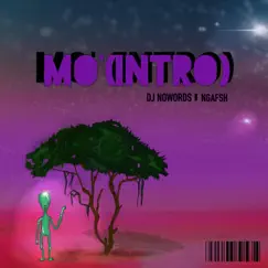 Mo' (Intro) [feat. Ngafsh] - Single by DJ NoWords album reviews, ratings, credits