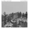 In the Bleak Midwinter - Single album lyrics, reviews, download