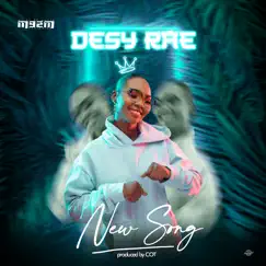 New Song - Single by Desy Rae album reviews, ratings, credits