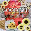 Hello Summer Deluxe (Goodbye Summer) album lyrics, reviews, download