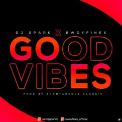 GOOD VIBES (feat. DJ Spark) Song Lyrics