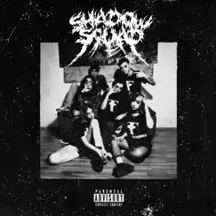 Shadow Ultimate Song Lyrics