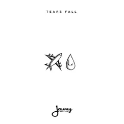 Tears Fall Song Lyrics