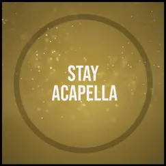 Stay (Acapella) Song Lyrics