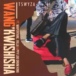 Wang'kwishisha (feat. Villa, Mapentane & Pyy Logdrum King) - Single by Tswyza album reviews, ratings, credits