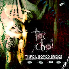 Toc Choi: Tinfoil Isopod Bridge by Blaise Kolodychuk and the Fukachuk Egg Machine album reviews, ratings, credits