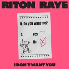 I Don't Want You - Single by Riton & RAYE album reviews, ratings, credits