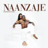 Naanzaje - Single album lyrics, reviews, download