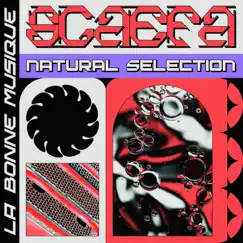 Natural Selection - EP by Scaefa album reviews, ratings, credits