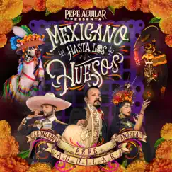Mexicano Hasta los Huesos by Pepe Aguilar, Ángela Aguilar & Leonardo Aguilar album reviews, ratings, credits