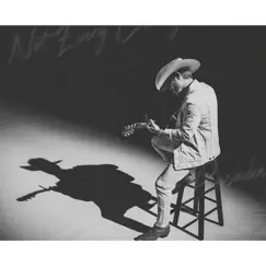 Not Every Cowboy - Single by Dustin Lynch album reviews, ratings, credits