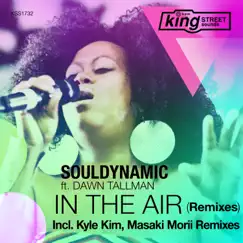 In the Air (Remixes) [feat. Dawn Tallman] - EP by Souldynamic album reviews, ratings, credits