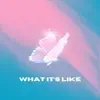 What It's Like (feat. D.R.) - Single album lyrics, reviews, download