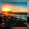 Pacific Sounds - Single album lyrics, reviews, download