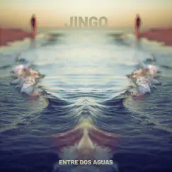 Entre Dos Aguas Song Lyrics