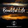Beautiful Life (Ambient Background) - Single album lyrics, reviews, download