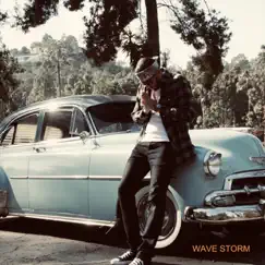 Wave Storm - Single by Mahdi the Director album reviews, ratings, credits