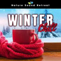 Winter Chill by Nature Sound Retreat album reviews, ratings, credits