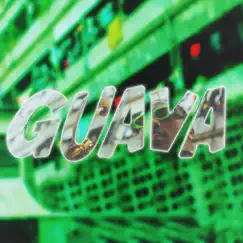 Guava - Single by Chiddy Bang album reviews, ratings, credits