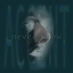Never Knew - Single by Accent album reviews, ratings, credits