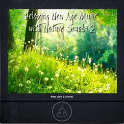 Relaxing New Age Music with Nature Sounds 2 by New Age Channel album reviews, ratings, credits