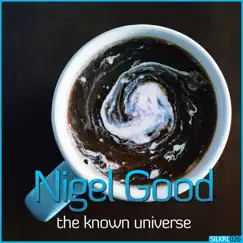 The Known Universe - Single by Nigel Good album reviews, ratings, credits