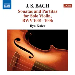 Violin Sonata No. 1 in G Minor, BWV 1001: II. Fuga: Allegro Song Lyrics