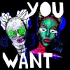 You Want - Single album lyrics, reviews, download