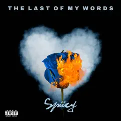 The Last of My Words by Spiiccy album reviews, ratings, credits