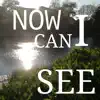 Now I Can See - Single album lyrics, reviews, download
