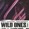 Wild Ones - Single album lyrics, reviews, download