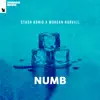 Numb - Single album lyrics, reviews, download