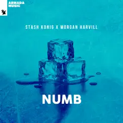 Numb - Single by Stash Konig & Morgan Harvill album reviews, ratings, credits