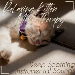 Relaxing Kitten Music Therapy: Deep Soothing Instrumental Sounds by RelaxMyCat, Cat Music Dreams & Cat Music Therapy album reviews, ratings, credits