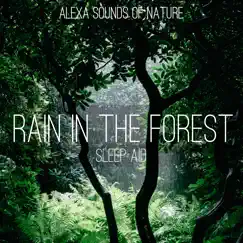 Rain in the Forest - Sleep Aid - Single by Alexa Sounds of Nature album reviews, ratings, credits